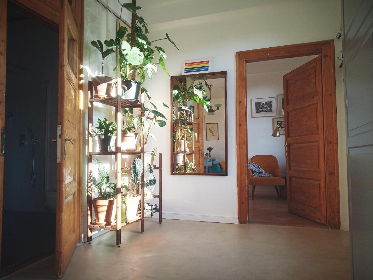 Good Mornings Apartment كلوج-نابوكا المظهر الخارجي الصورة
